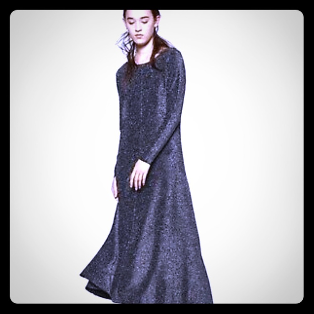 Zara glitter fine knit dress in small nwt